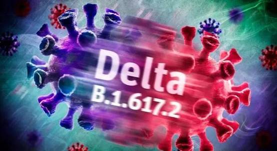 846a62c3afe385647da7fe5f66da5f6b