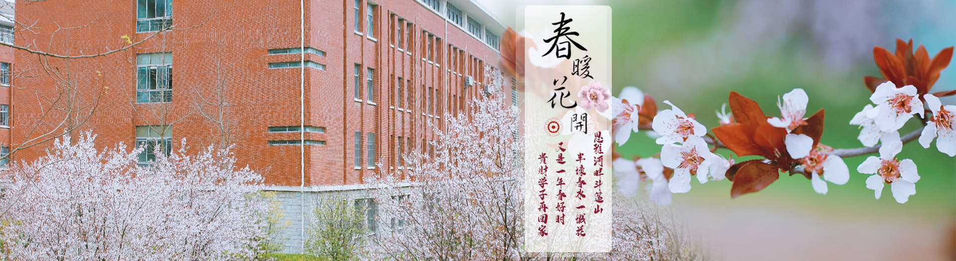 巴黎国际娱乐城